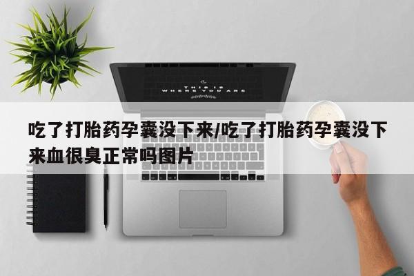 流产药怎么购买吃了打胎药孕囊没下来/吃了打胎药孕囊没下来血很臭正常吗图片